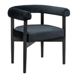 Alden Arm Chair - Black